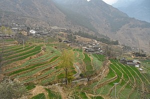 Grüne Reisterrassen am Eingang der Schlucht