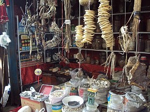 "Natürliche" Medizin: aufgerollte Schlangenhäute, Igelfelle und Schafsschädel für die Hausapotheke