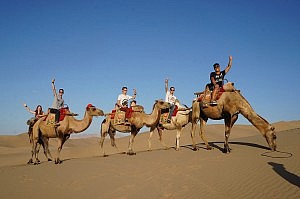 Eine deutsche Karawane