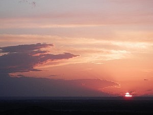 Such den Drachen im Bild!