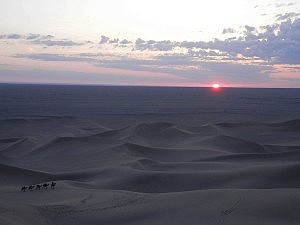 Unsere Kamele warten schon geduldig