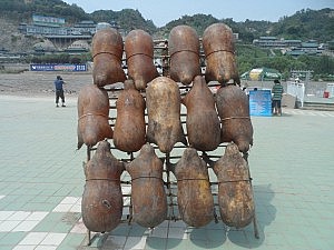 Ob das wirklich schwimmen kann?