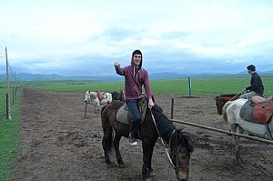 Wer auf einem Wasserbüffel reiten kann, wird wohl auch hoch zu Ross zurechtkommen (denkste)