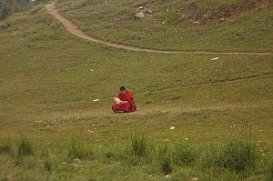Ein kleiner Mönch beim Studieren