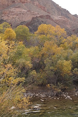 Unten am Fluss, der Herbst ist da.