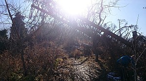 Hier kann man ein wenig den matschigen Weg sehen, diesmal nciht sehr steil.