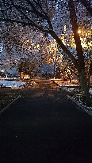 Der erste Schnee, wie schön es erst sein wird, wenn der richtige Schnee kommt!