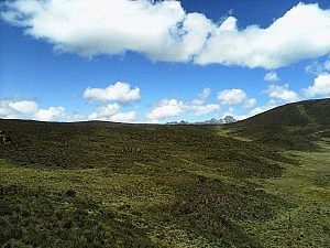 Mt Kenya 