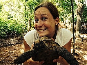 "Sunny Plankton von nebenan hat gesagt dass Schildkröten bis zu 100 Jahre alt werden können!".