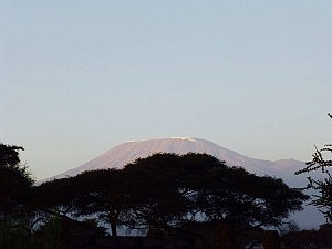 Blick aus unser Lodge auf den Kilimanjaro ! 