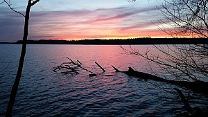 Abends am Werbellinsee