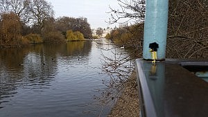 Mr. Travi unterwegs im St. James Park