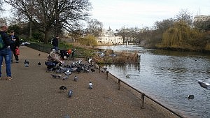 Das Wetter im Park genießen