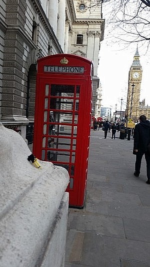 Mr. Travi hat sie tatsächlich gefunden... TELEFONZELLEN.. :D