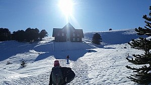 Das Refugium der "Deutschen Schule"