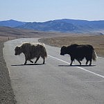 Lasst euch Zeit! Bloß kein Stress!