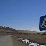 Bei dieser befahrenen Straße wirklich notwendig!