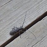 Herzlich Willkommen zu Hause!