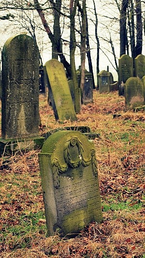... bei Wielowies