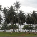 Strand am Ortseingang von Kribi