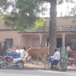 Vor der Bäckerei in Maroua