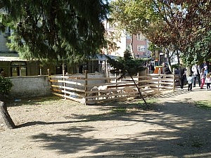 Die Tiere leben in Ställen.