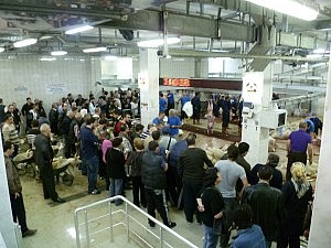 (M)ein Blick in die Halle.