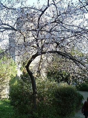 Ja... so sah es schon aus. Und dann kam der Regen!