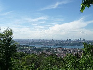 Ausblick in die eine Richtung...