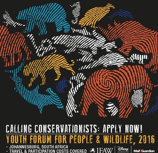 Youth Forum for People and Wildlife 2016 in Johannesburg