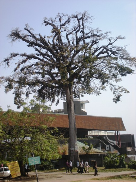 Ile-Ife Besuch an der Uni Ile-Ife