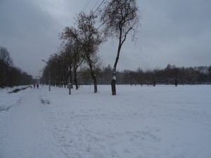 auf dem Weg zur Bushaltestelle