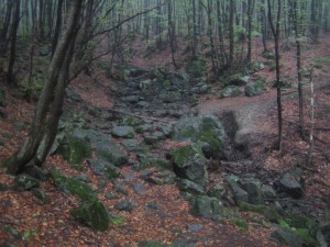 das war noch weiter unten am Berg, sieht aus als waere das ein Fluss aus Steinbrocken!