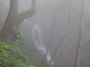 das ist jetz nicht der Wasserfall, aber den kann man auf meinen Fotos gar nicht erkennen