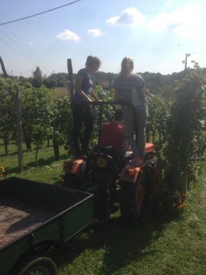 Einmal wieder Kind sein und auf einem Tracktor mitfahren 