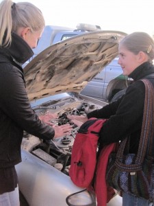 Ein letztes Mal wärmen an der Motorhaube...