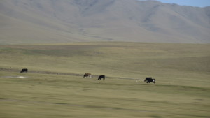 Countryside (© Lennart)