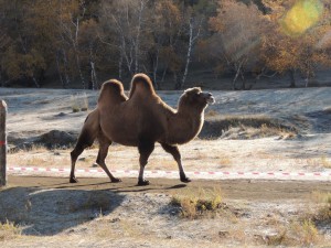 I am sexy and I know it!