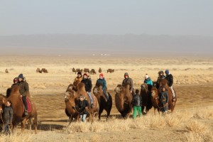 Camel ride next to the Khongor Els