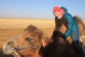 <3 <3 <3 amazing animals :) Fallen in love with them!