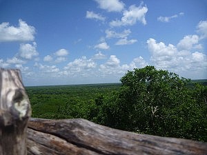 ...und alles sogar zum Draufsteigen!