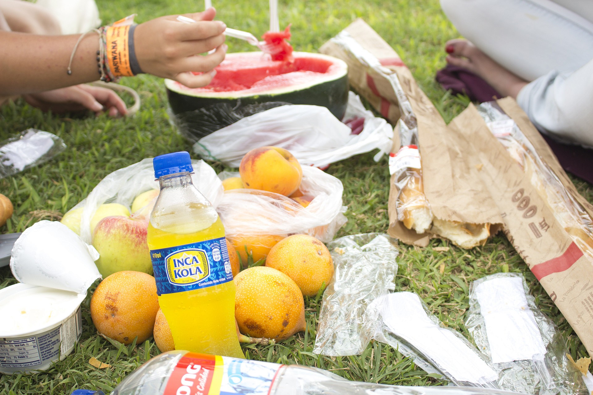 Zeit für Picknick (Bild)