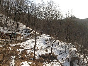 auf dem Weg hoch zur Mauer