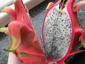 Drachenfrucht huǒlóng guǒ (火龙果)