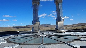 Des Rosses stolze Beine