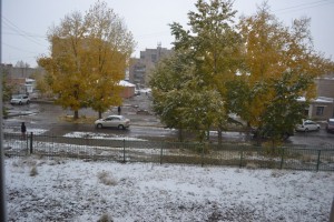 Ein schönes Bild am Morgen: Schnee auf der Wiese und Blätter an den Bäumen, Herbst und Winter zugleich