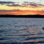 Sonnenuntergang am Werbellinsee: Immer wieder schön!