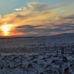 Die wunderschöne Landschaft der Mongolei