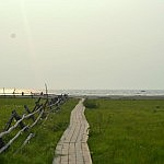 Der Weg zum Baikalsee erinnert an den Weg zum Strand an der Nord- oder Ostsee - Blumen duften und das Wasser rauscht