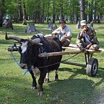 Auch eine gute Möglichkeit der Fortbewegung - wir bevorzugten trotzdem unseren Kleinbus